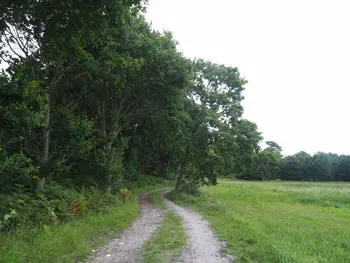 Halshuisene + Enebaerodde Beach (Denemarken)